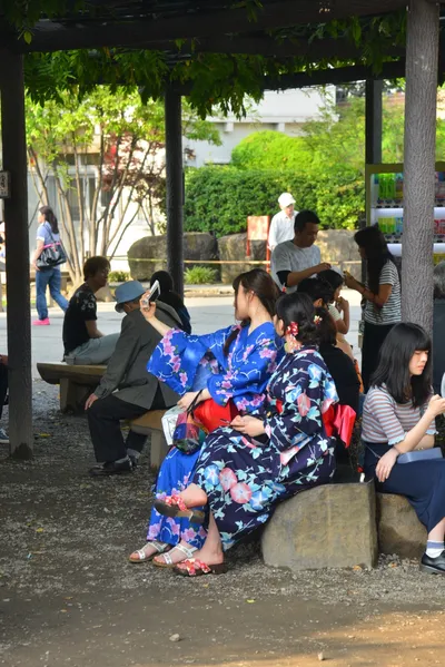 DSC_3510 (Large).JPG